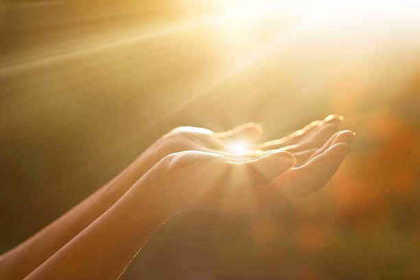 formation-liberez-votre-potentiel